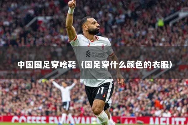 中国国足穿啥鞋(国足穿什么颜色的衣服)
