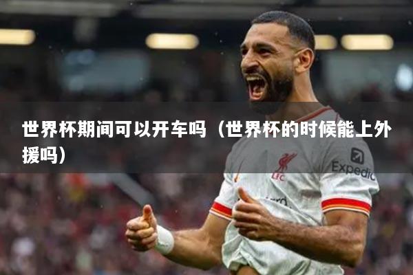 世界杯期间可以开车吗（世界杯的时候能上外援吗）