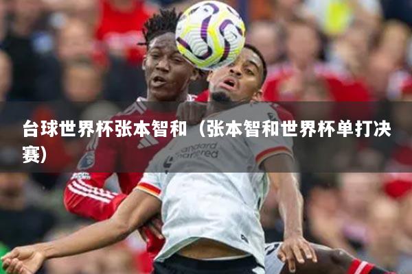 台球世界杯张本智和(张本智和世界杯单打决赛)