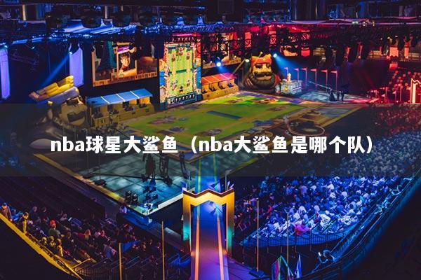 nba球星大鲨鱼（nba大鲨鱼是哪个队）
