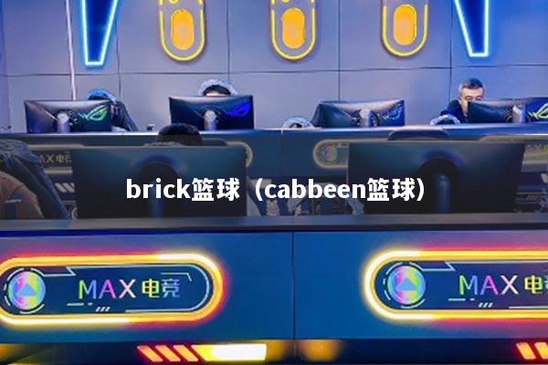 brick篮球（cabbeen篮球）