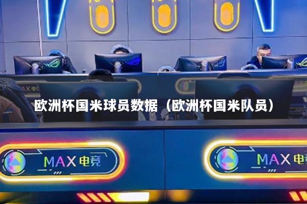 欧洲杯国米球员数据（欧洲杯国米队员）