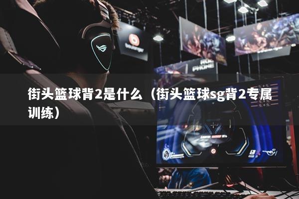 街头篮球背2是什么（街头篮球sg背2专属训练）