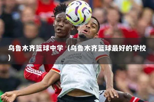 乌鲁木齐篮球中学（乌鲁木齐篮球最好的学校）