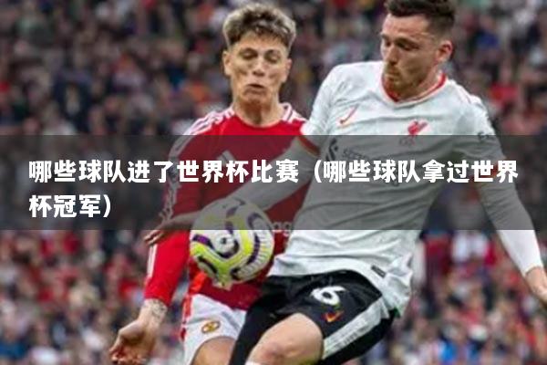 哪些球队进了世界杯比赛（哪些球队拿过世界杯冠军）