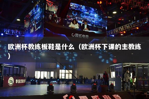 欧洲杯教练板鞋是什么（欧洲杯下课的主教练）