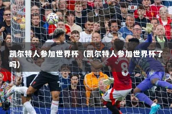 凯尔特人参加世界杯（凯尔特人参加世界杯了吗）