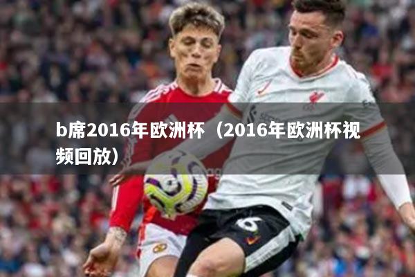 b席2016年欧洲杯（2016年欧洲杯视频回放）