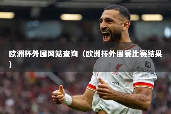欧洲杯外围网站查询（欧洲杯外围赛比赛结果）